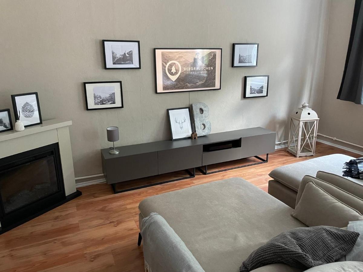 Apartament Bergrauschen - Waldloft - Preise Inklusive Waesche Goslar Zewnętrze zdjęcie