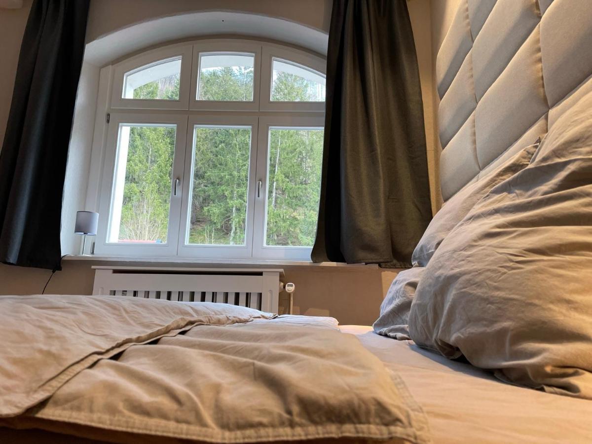 Apartament Bergrauschen - Waldloft - Preise Inklusive Waesche Goslar Zewnętrze zdjęcie