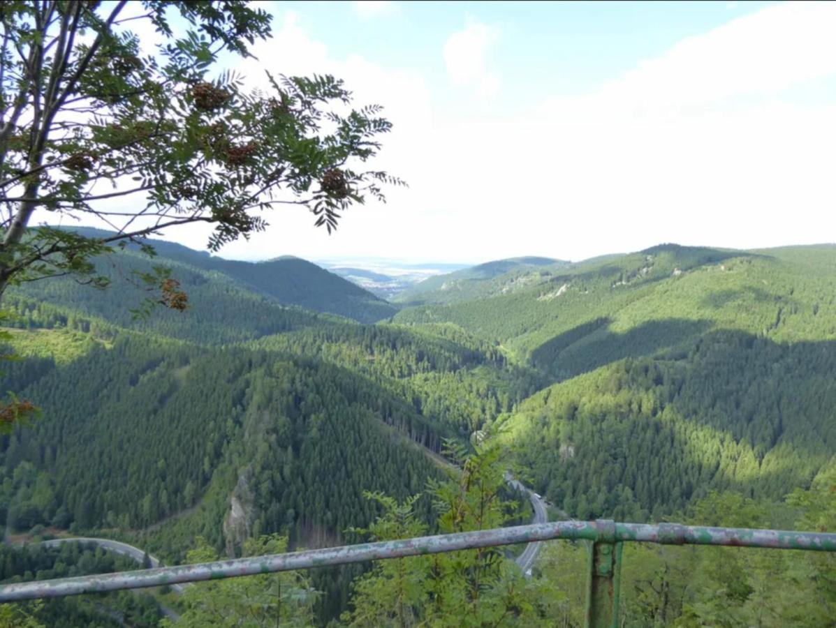 Apartament Bergrauschen - Waldloft - Preise Inklusive Waesche Goslar Zewnętrze zdjęcie
