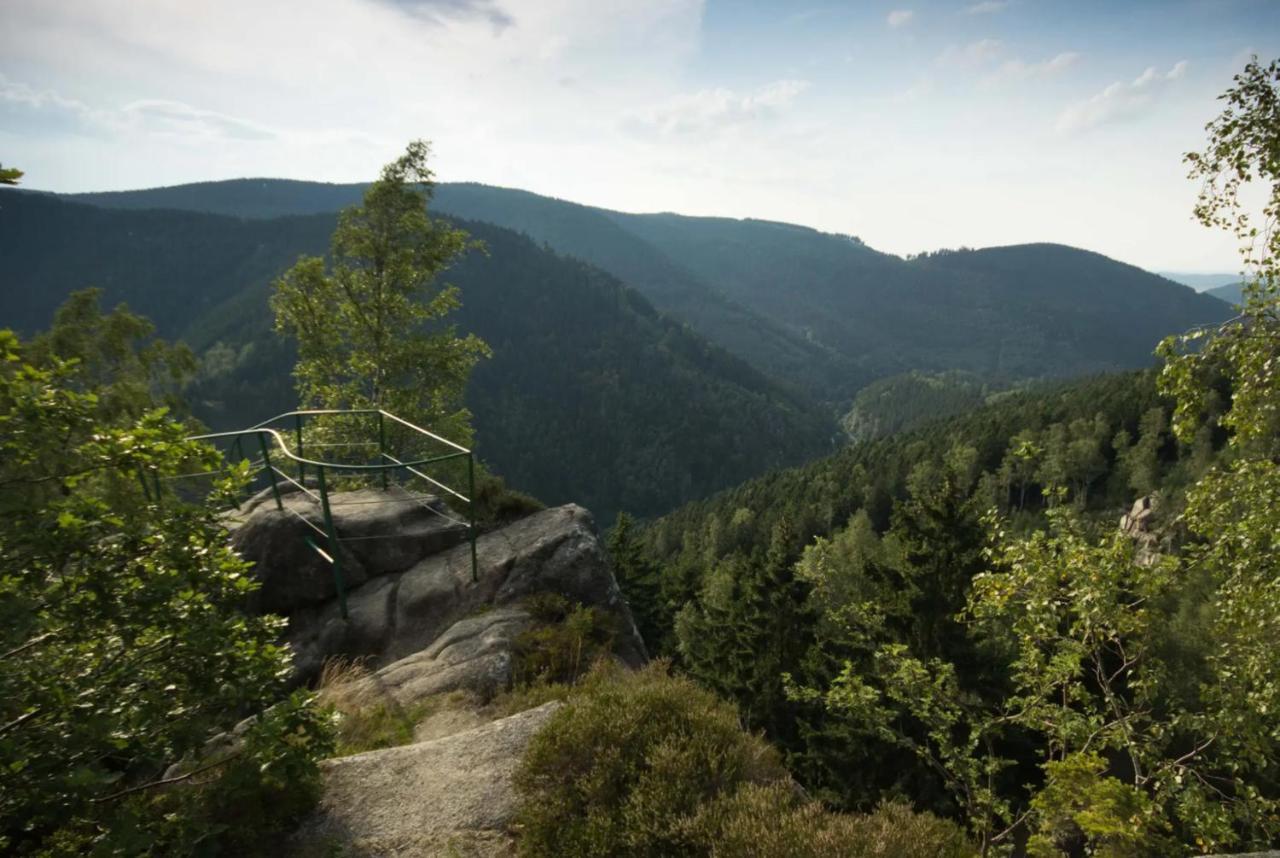 Apartament Bergrauschen - Waldloft - Preise Inklusive Waesche Goslar Zewnętrze zdjęcie