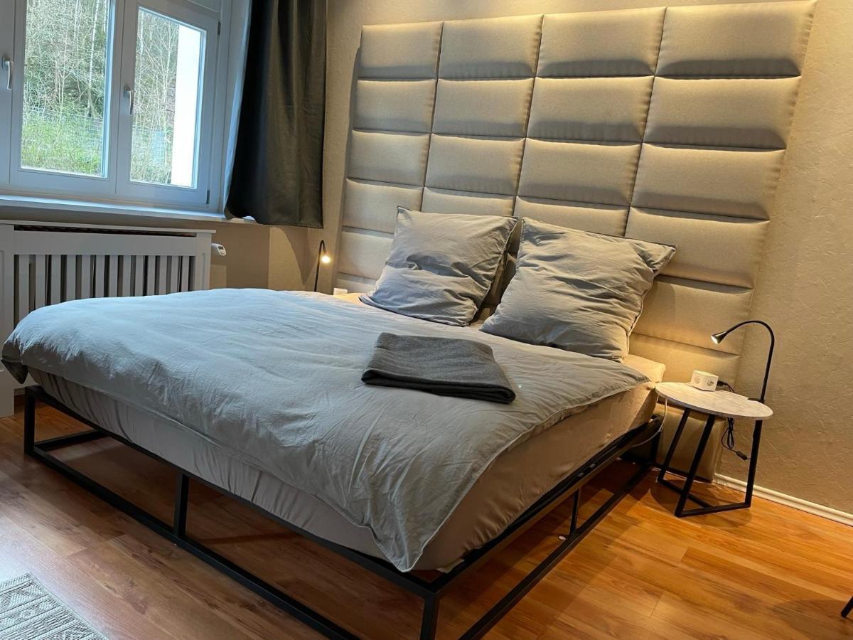 Apartament Bergrauschen - Waldloft - Preise Inklusive Waesche Goslar Zewnętrze zdjęcie