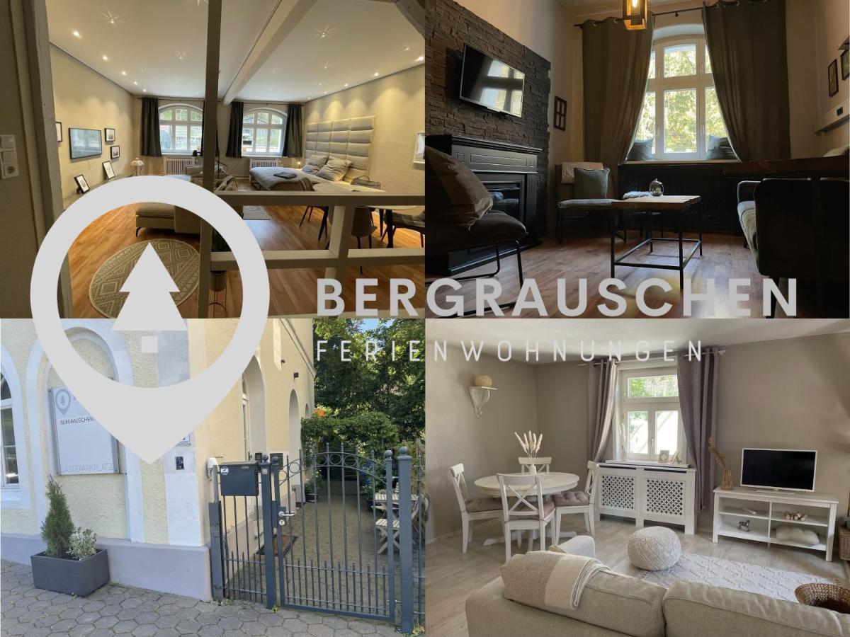 Apartament Bergrauschen - Waldloft - Preise Inklusive Waesche Goslar Zewnętrze zdjęcie